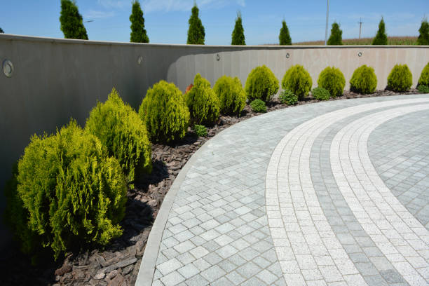 Best Commercial Driveway Pavers  in Jacksonville Beach, FL